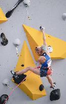 Sports climbing: Qualifying meet for Paris Olympics