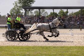 SLOVENIA-LIPICA-STUD FARM-444TH ANNIVERSARY