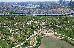 Artificial Imitation Natural Mountains in Shanghai