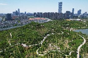 Artificial Imitation Natural Mountains in Shanghai