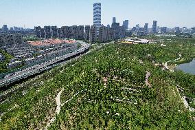 Artificial Imitation Natural Mountains in Shanghai