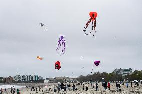 U.S.-MASSACHUSETTS-KITE FESTIVAL