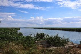 Lake Kuhurlui in Odesa region