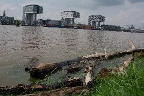 Flood Situation In Cologne