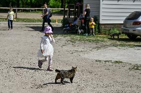 Pupils of Dzherelo boarding school visit Equestrian Club in Zaporizhzhia