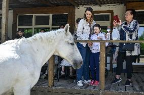 Pupils of Dzherelo boarding school visit Equestrian Club in Zaporizhzhia