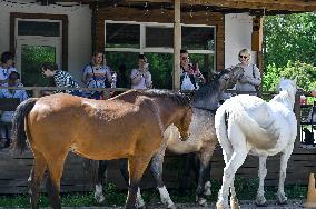 Pupils of Dzherelo boarding school visit Equestrian Club in Zaporizhzhia