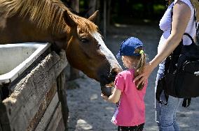 Pupils of Dzherelo boarding school visit Equestrian Club in Zaporizhzhia