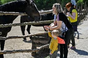 Pupils of Dzherelo boarding school visit Equestrian Club in Zaporizhzhia