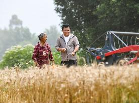 ChineseToday | Young farmer uses modern technology to empower traditional agriculture in SW China