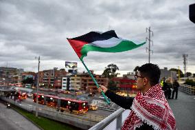 Pro-palestine Demonstration in Bogota