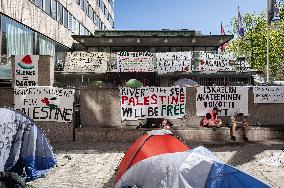 Pro-Palestine protest