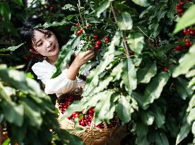 CHINA-SHANDONG-RIZHAO-ECOTOURISM-AGRICULTURAL FARM (CN)