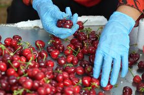 CHINA-SHANDONG-RIZHAO-ECOTOURISM-AGRICULTURAL FARM (CN)