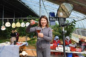 CHINA-SHANDONG-RIZHAO-ECOTOURISM-AGRICULTURAL FARM (CN)