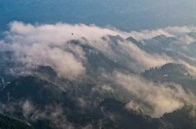 CHINA-CHONGQING-JINFO MOUNTAIN-CLOUDS (CN)