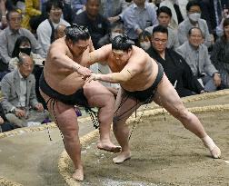 Sumo: Summer tournament