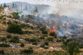 ISRAEL-HULA VALLEY-LEBANON-CONFRONTATIONS