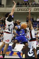 FC Porto-Ovarense  Basketball League Championship