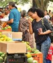 INDIA-BENGALURU-MANGO-FESTIVAL