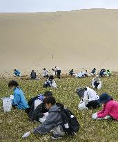 Weeding at Tottori Sand Dunes
