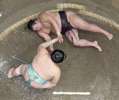 Sumo: Summer tournament
