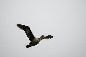 WIldlife At The Oxbow Nature Conservancy