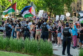 Pro-Palestine Protest - Chicago