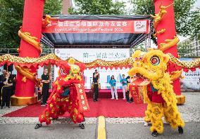 GERMANY-FRANKFURT-DRAGON BOAT-FESTIVAL