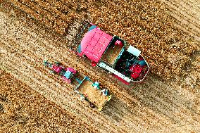 CHINA-HENAN-WHEAT-HARVEST (CN)