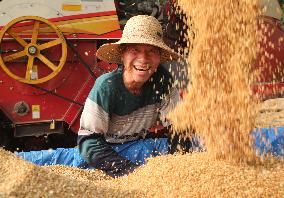 CHINA-HENAN-WHEAT-HARVEST (CN)