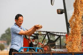 CHINA-HENAN-WHEAT-HARVEST (CN)