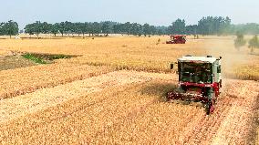 CHINA-HENAN-WHEAT-HARVEST (CN)