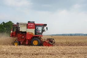 CHINA-HENAN-WHEAT-HARVEST (CN)