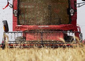 CHINA-HENAN-WHEAT-HARVEST (CN)