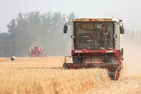 CHINA-HENAN-WHEAT-HARVEST (CN)