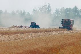 CHINA-HENAN-WHEAT-HARVEST (CN)