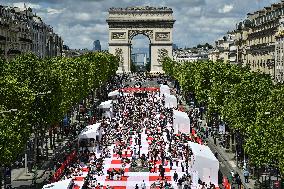 Grand picnic on the Champs-Elysees in Paris FA