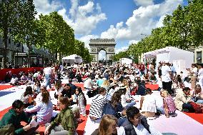 Grand picnic on the Champs-Elysees in Paris FA