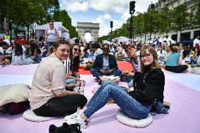 Grand picnic on the Champs-Elysees in Paris FA