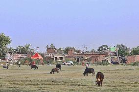Daily Life In Bazpur