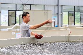 Fishery Development in Liuzhou