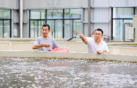 Fishery Development in Liuzhou