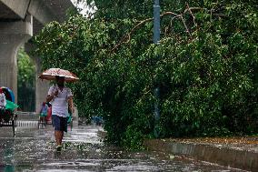 Severe Cyclone Rimal Hits Bangladesh