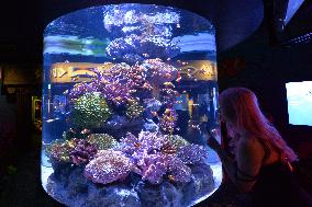 THAILAND-BANGKOK-AQUARIUM