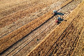 #CHINA-AGRICULTURE-WHEAT HARVEST (CN)