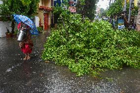 Aftermath Of Cyclone Remal In Kolkata.