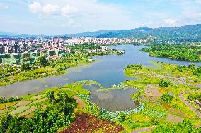 Wetland Ecosystem Products Value Accounting in Chongqing