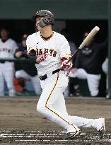 Baseball: Yomiuri Giants' Hayato Sakamoto