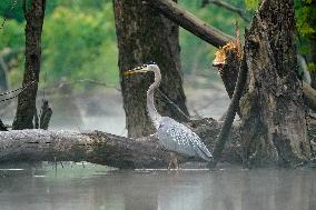 Wildlife At The Oxbow Nature Conservancy